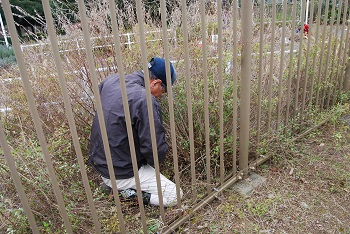 作業の様子