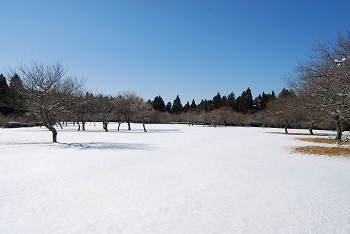 全体の様子