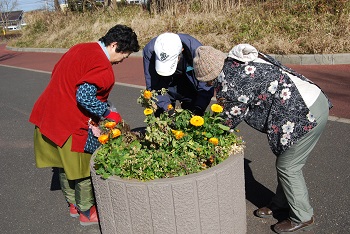作業の様子