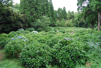 展望台広場付近の様子