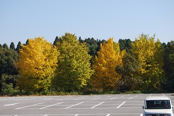 第1駐車場