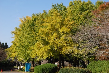お花見広場手前