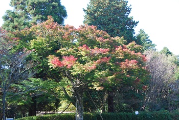 冒険広場
