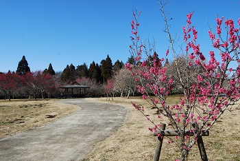 四阿屋付近の様子