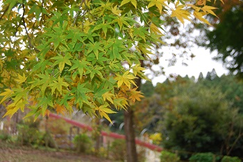 冒険広場付近