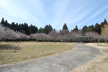 四阿付近の様子