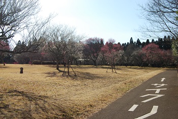 サイクリングコースからの様子