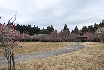 四阿付近の様子