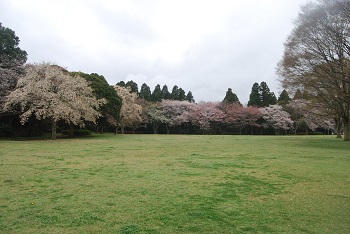 太陽の広場