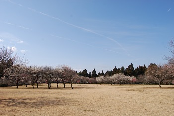 全体の様子