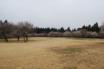 全体の様子