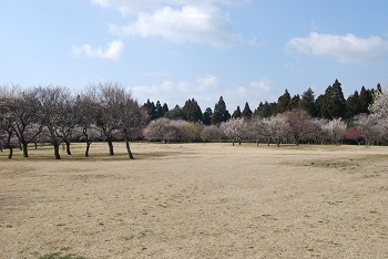 全体の様子