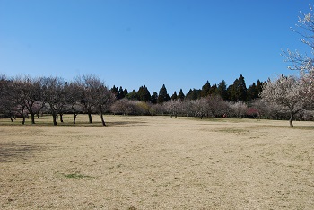 全体の様子