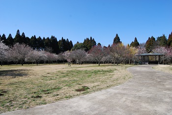 全体の様子