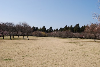 全体の様子