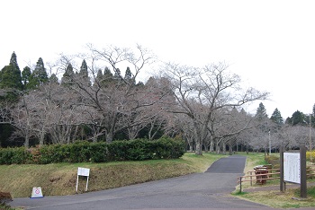お花見広場入口