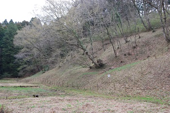 ハナショウ園斜面