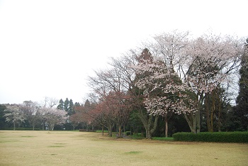 太陽の広場