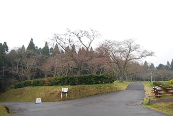 お花見広場入口
