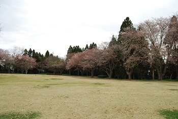 太陽の広場