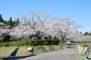 お花見広場入口