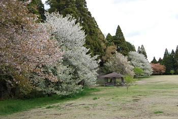 展望広場