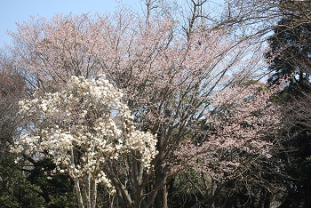 太陽の広場東側