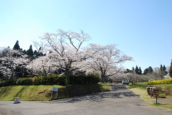 お花見広場入口