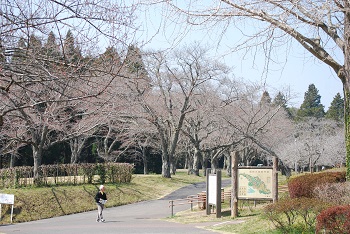 お花見広場入口
