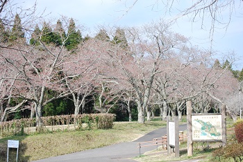 お花見広場入口