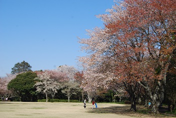 太陽の広場