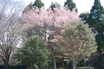 太陽の広場東側