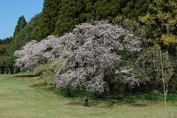 太陽の広場