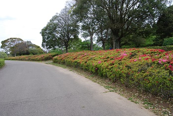 太陽の広場
