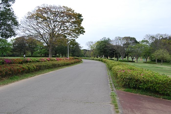 太陽の広場