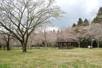 お花見広場