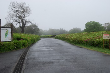 太陽の広場園路