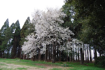 太陽の広場西側