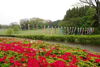 太陽の広場園路
