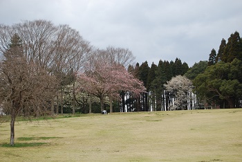 太陽の広場西側