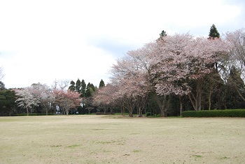 太陽の広場東側