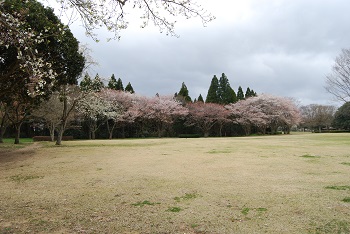 太陽の広場