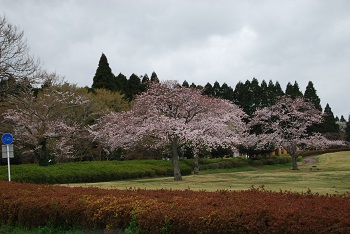 太陽の広場