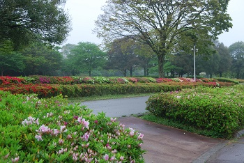 太陽の広場園路