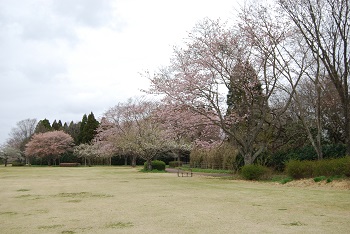 太陽の広場