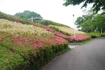 展望台下