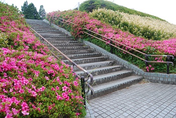展望台階段脇