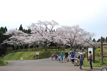 お花見広場入口