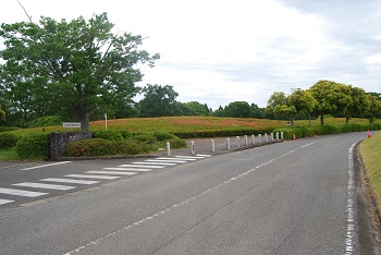 事務所入り口付近（第2駐車場へ向かう園路）