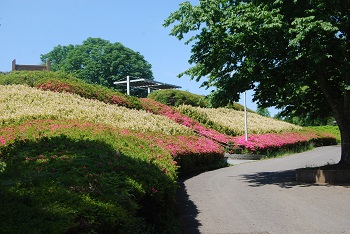 展望台下